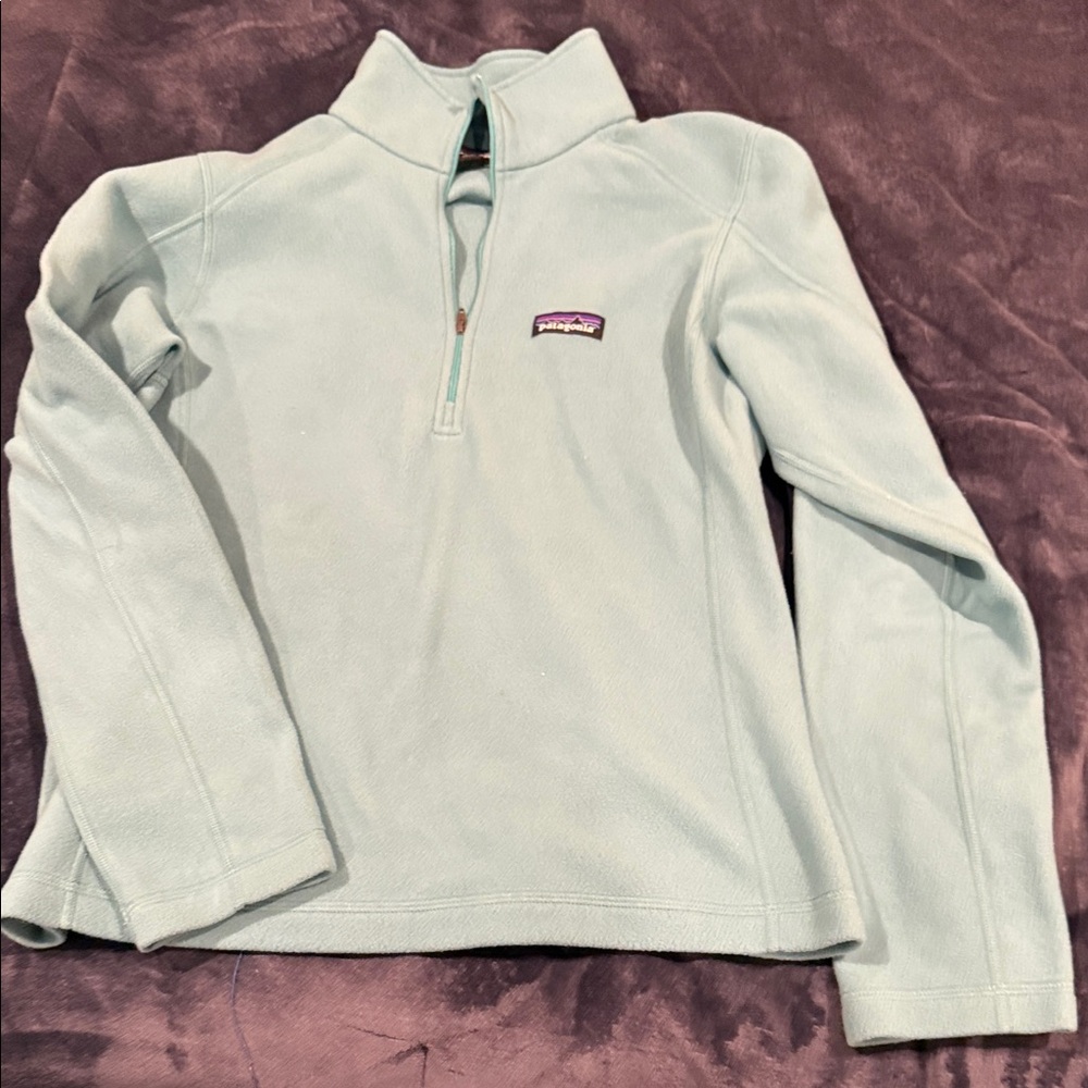 Patagonia Sky Blue Half-Zip Fleece
